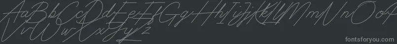 Digital Signature-fontti – harmaat kirjasimet mustalla taustalla