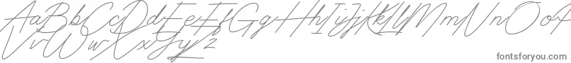 Digital Signature-fontti – harmaat kirjasimet valkoisella taustalla
