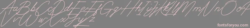 Digital Signature Font – Pink Fonts on Gray Background