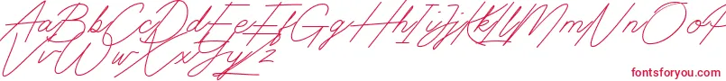 フォントDigital Signature – 白い背景に赤い文字