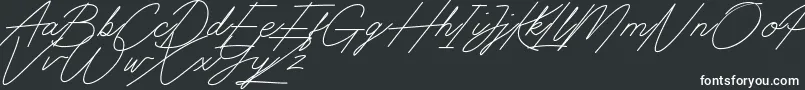 フォントDigital Signature – 白い文字