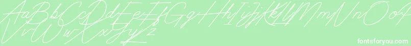 Digital Signature Font – White Fonts on Green Background