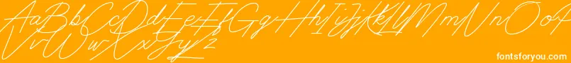 Digital Signature-fontti – valkoiset fontit oranssilla taustalla