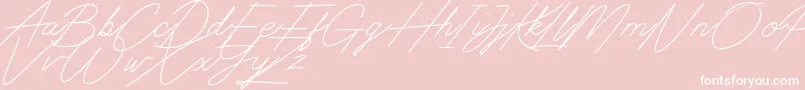 Digital Signature Font – White Fonts on Pink Background