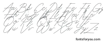 Przegląd czcionki Digital Signature