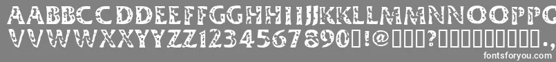 フォントDIMEH    – 灰色の背景に白い文字