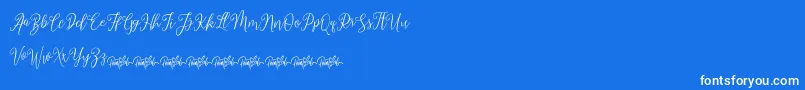 dimmya demo-Schriftart – Weiße Schriften auf blauem Hintergrund