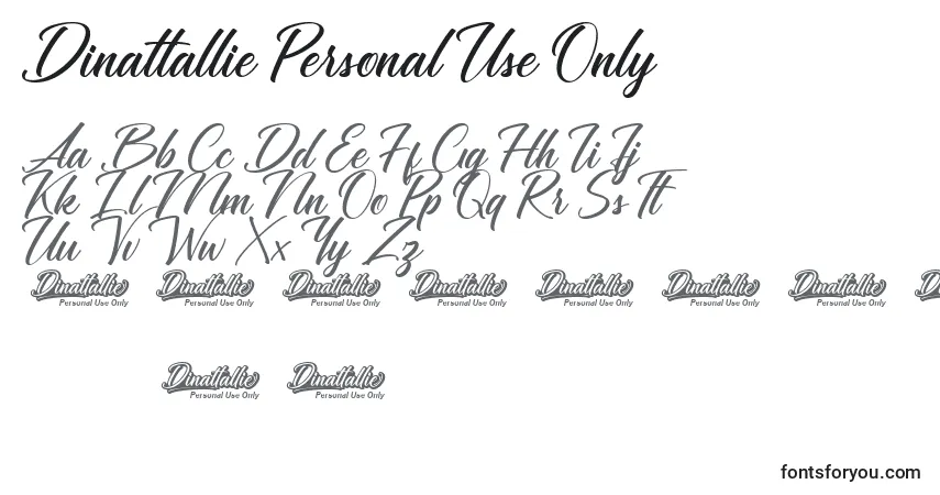 Czcionka Dinattallie Personal Use Only – alfabet, cyfry, specjalne znaki