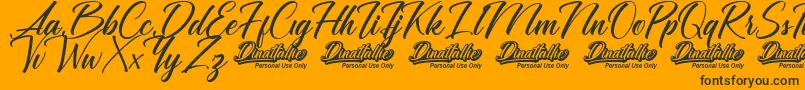 Dinattallie Personal Use Onlyフォントについての詳細 フォントDinattallie Personal Use Only – 黒い文字のオレンジの背景