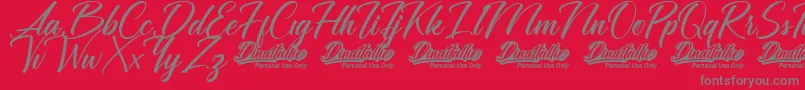 Dinattallie Personal Use Only-Schriftart – Graue Schriften auf rotem Hintergrund