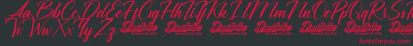 Dinattallie Personal Use Only Font – Red Fonts on Black Background