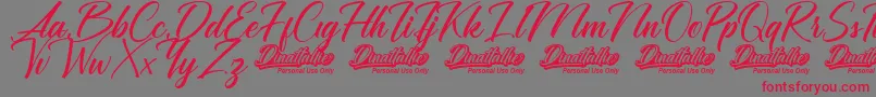 Dinattallie Personal Use Only Font – Red Fonts on Gray Background