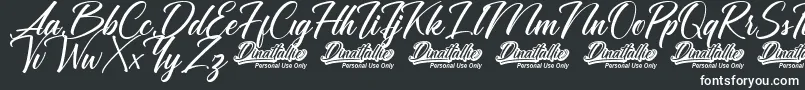 Police Dinattallie Personal Use Only – polices blanches sur fond noir