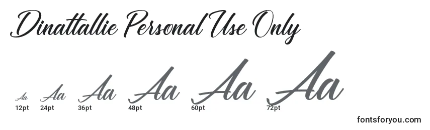 Размеры шрифта Dinattallie Personal Use Only