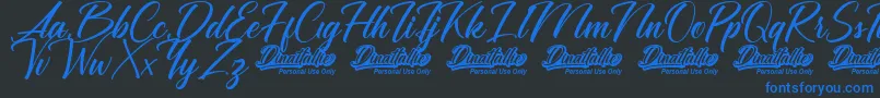 Dinattallie Personal Use Only Font – Blue Fonts on Black Background