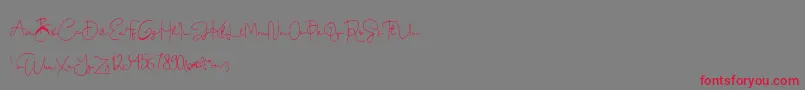 Шрифт Dinda – красные шрифты на сером фоне