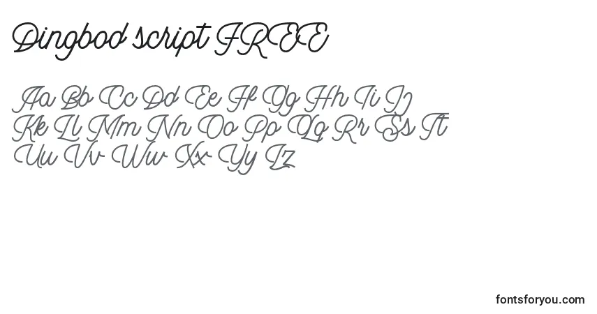 Schriftart Dingbod script FREE – Alphabet, Zahlen, spezielle Symbole