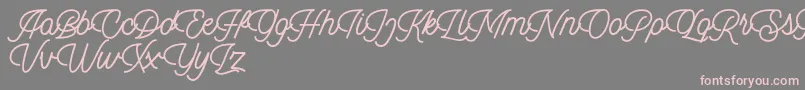 Dingbod script FREE Font – Pink Fonts on Gray Background