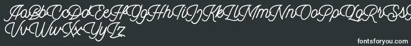 Czcionka Dingbod script FREE – białe czcionki