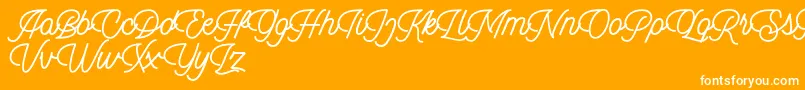 Dingbod script FREE-Schriftart – Weiße Schriften auf orangefarbenem Hintergrund