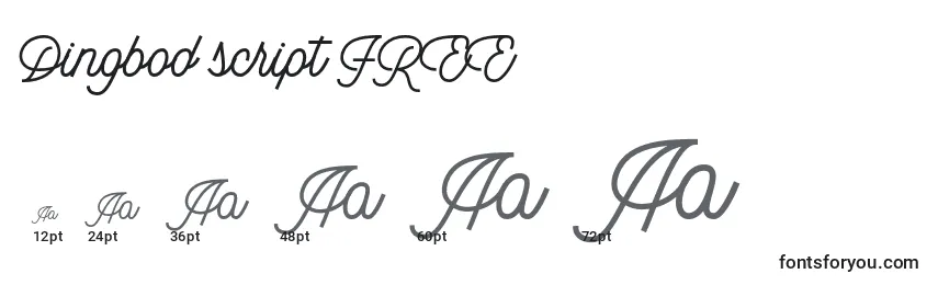 Größen der Schriftart Dingbod script FREE