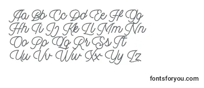 Обзор шрифта Dingbod script FREE