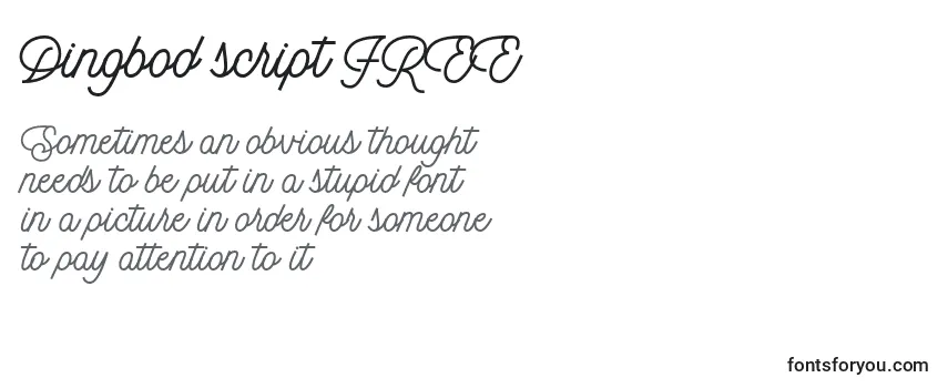 Schriftart Dingbod script FREE