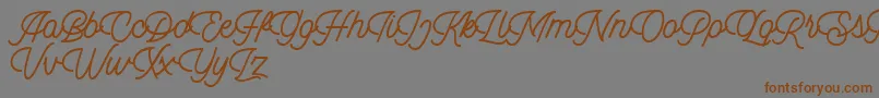 Dingbod script FREE Font – Brown Fonts on Gray Background