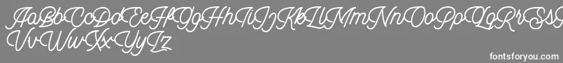 Dingbod script FREE Font – White Fonts on Gray Background