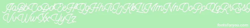 Dingbod script FREE Font – White Fonts on Green Background