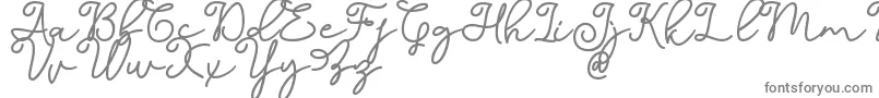 Dinila Script DAFONT Font – Gray Fonts on White Background