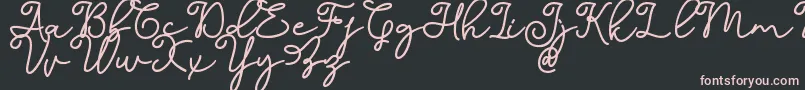 Dinila Script DAFONT Font – Pink Fonts on Black Background