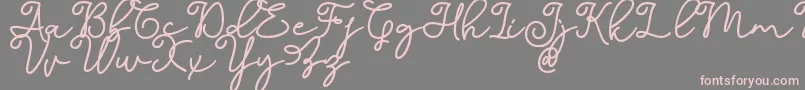 フォントDinila Script DAFONT – 灰色の背景にピンクのフォント