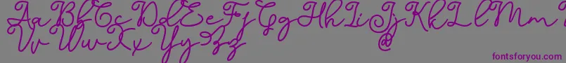 フォントDinila Script DAFONT – 紫色のフォント、灰色の背景
