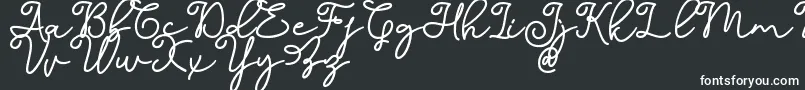 Dinila Script DAFONT Font – White Fonts on Black Background