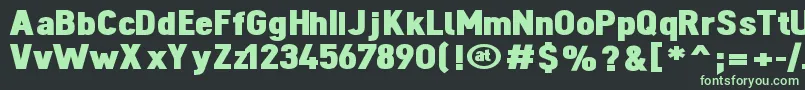 DINOBL   Font – Green Fonts on Black Background