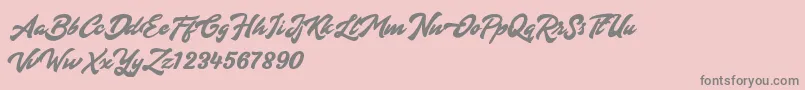 Diora Font – Gray Fonts on Pink Background