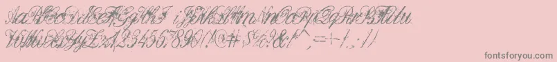 DIRTE   -Schriftart – Graue Schriften auf rosa Hintergrund