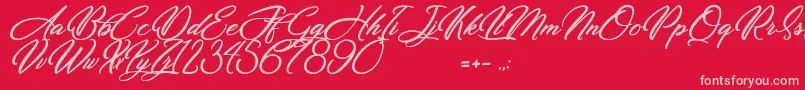 Dirty Bitch Font – Pink Fonts on Red Background