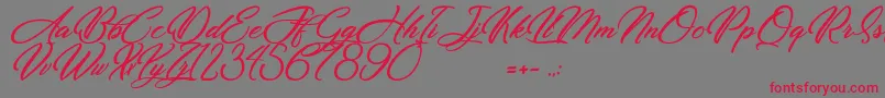 Dirty Bitch Font – Red Fonts on Gray Background