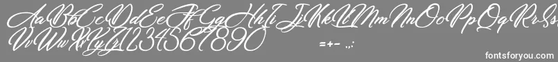 Dirty Bitch Font – White Fonts on Gray Background