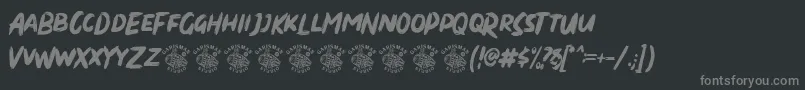 Weitere Informationen zur Dirty Brush-Schriftart Dirty Brush-Schriftart – Graue Schriften auf schwarzem Hintergrund