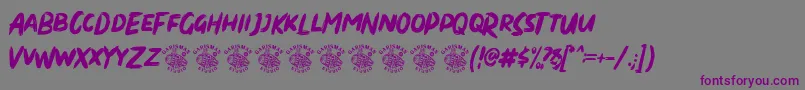 fuente Dirty Brush – Fuentes Moradas Sobre Fondo Gris
