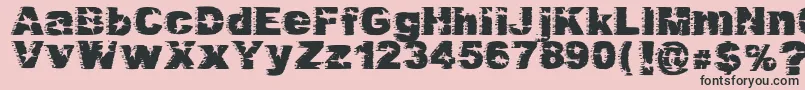 Dirty Harry Font – Black Fonts on Pink Background