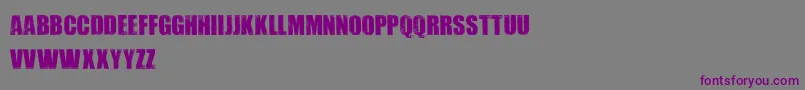 DIRTYBAG    Font – Purple Fonts on Gray Background