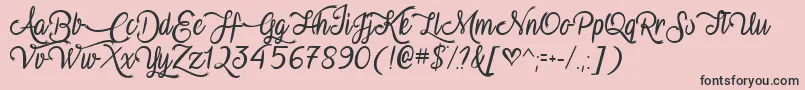 VampireCalligraphyTtf Font – Black Fonts on Pink Background