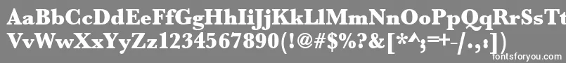 フォントUrwbaskertultbolnar – 灰色の背景に白い文字