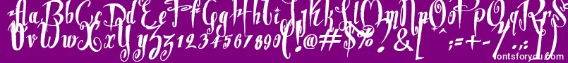 Dite Alla Giovine Font – White Fonts on Purple Background