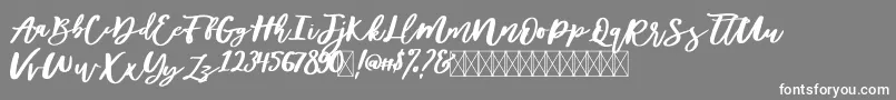 DiveilScriptFree-Schriftart – Weiße Schriften auf grauem Hintergrund