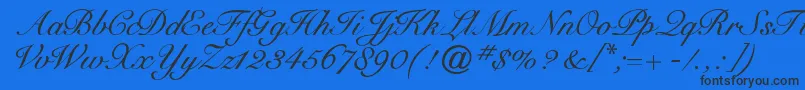 Cygnetround Font – Black Fonts on Blue Background